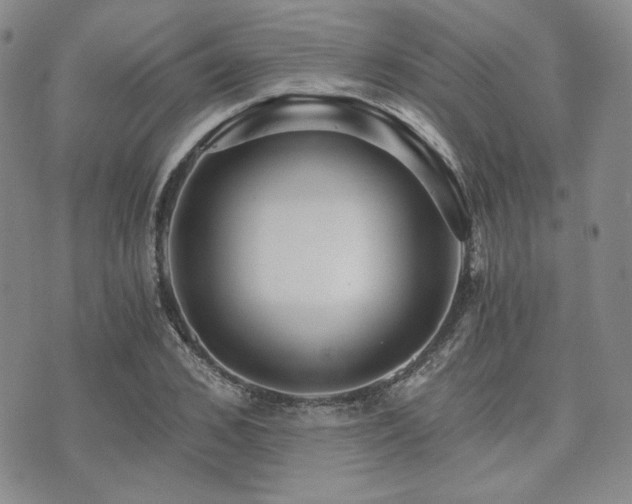 X0000073700976200608031210