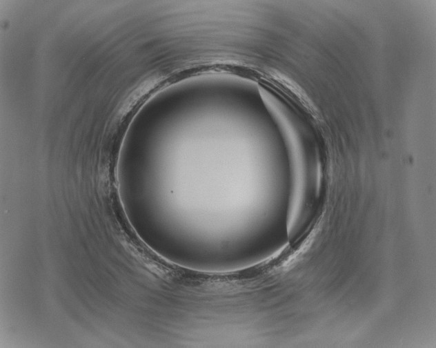 X0000073700977200608031210