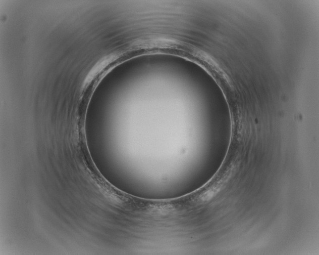 X0000073700978200608031210