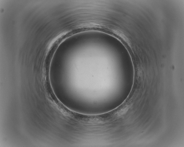 X0000073700979200608031210