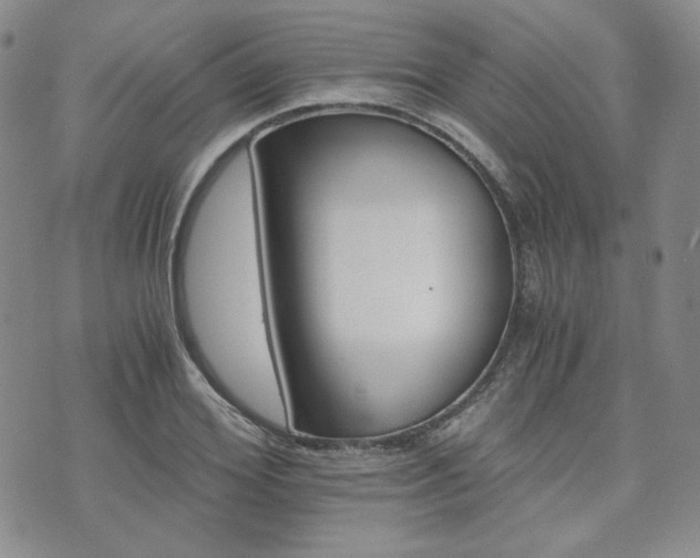 X0000073700980200608031210