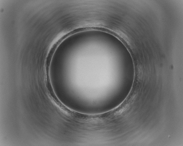 X0000073700982200608031210