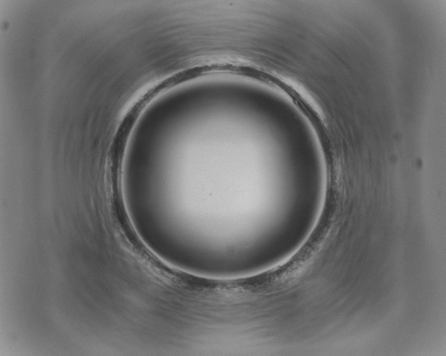 X0000073700983200608031210