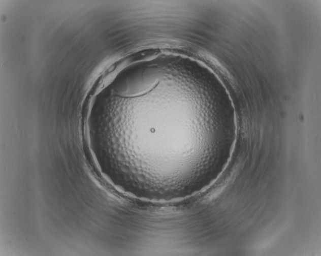 X0000073700986200608031210