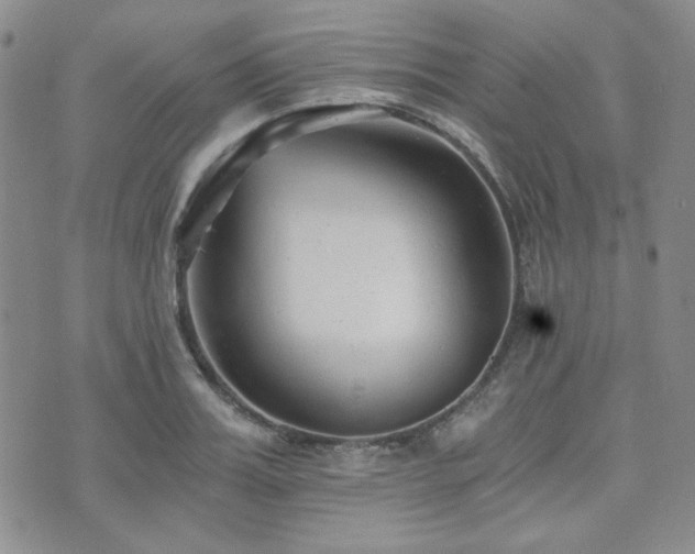 X0000073700987200608031210