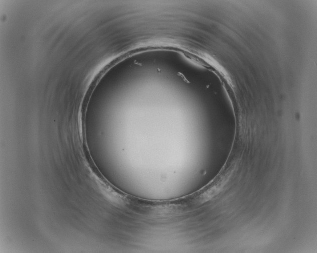 X0000073700988200608031210