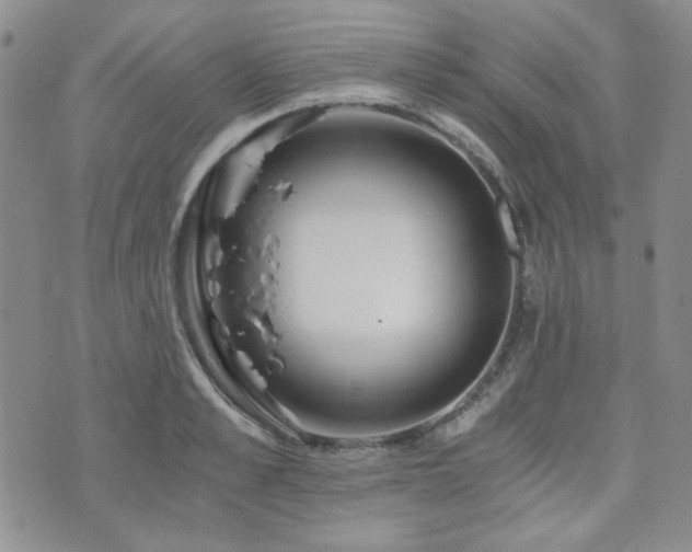 X0000073700989200608031210