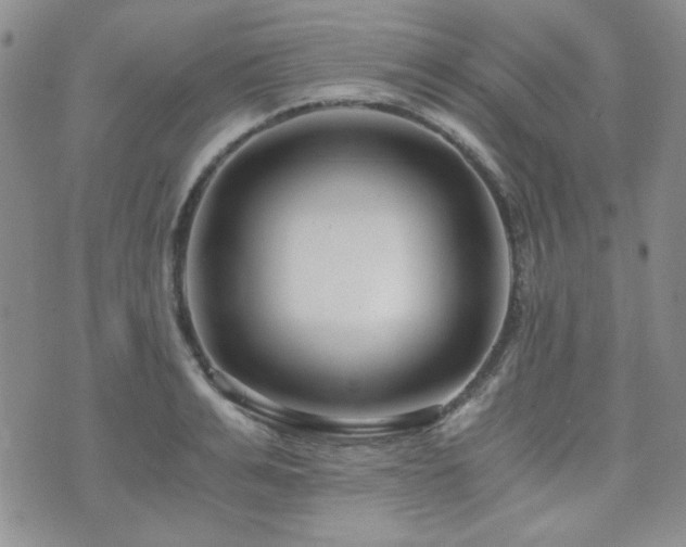 X0000073700991200608031210