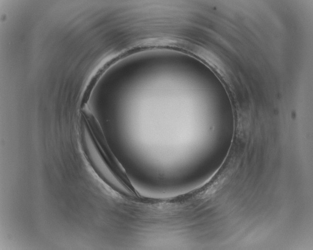 X0000073700992200608031210