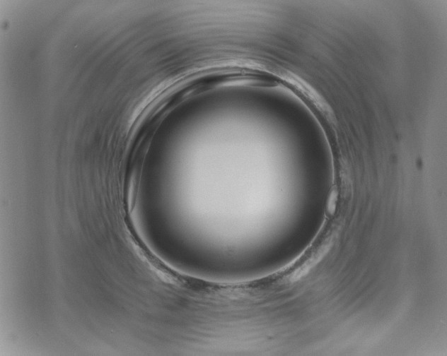 X0000073700993200608031210