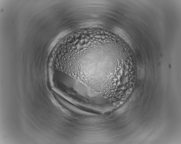 X0000073700994200608031210