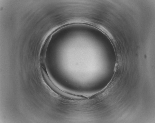 X0000073700996200608031210