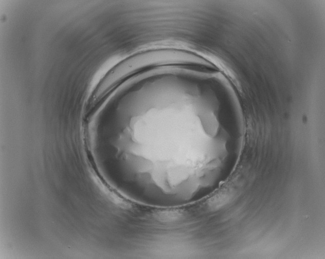 X0000073700998200608031210