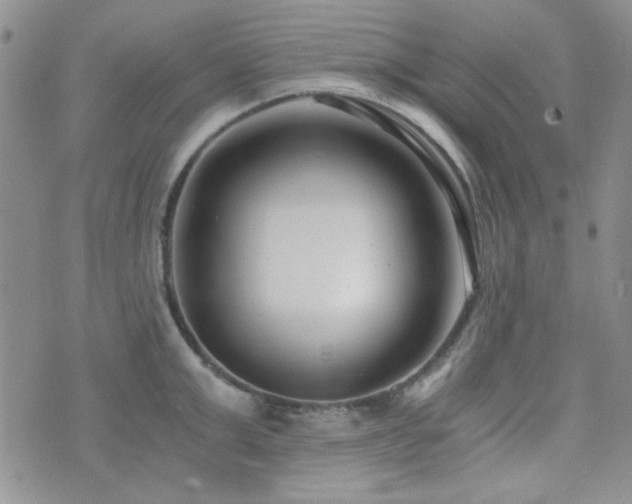 X0000073700999200608031210