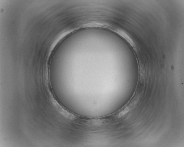 X0000073701000200608031210