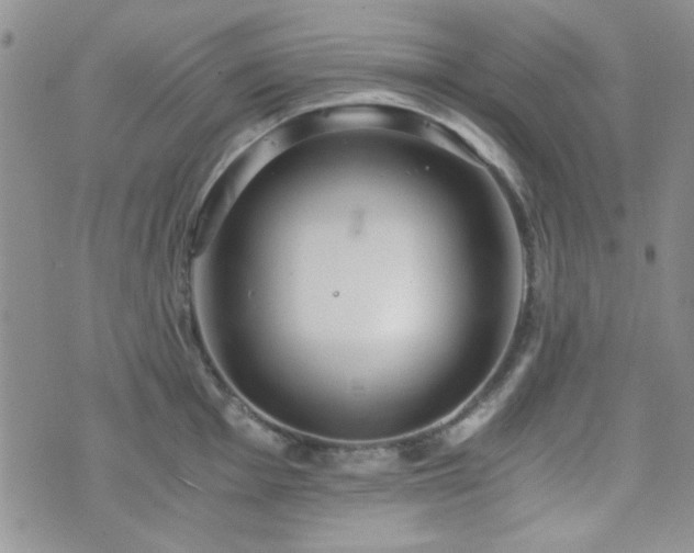 X0000073701001200608031210