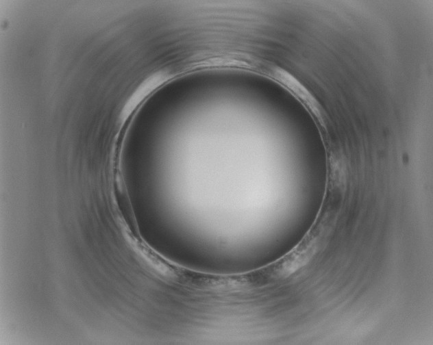 X0000073701002200608031210