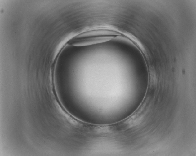 X0000073701006200608031210