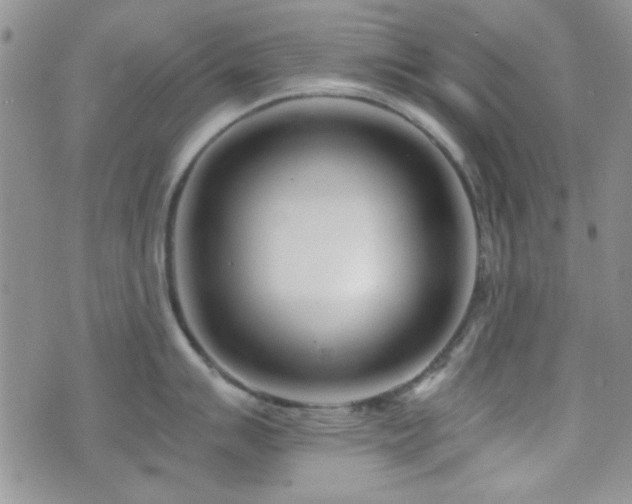 X0000073701007200608031210