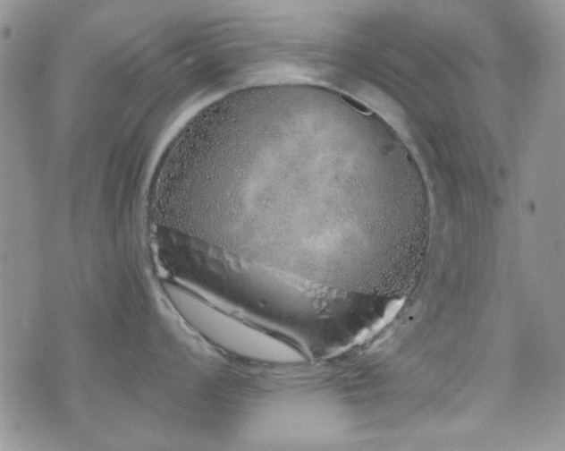 X0000073701008200608031210