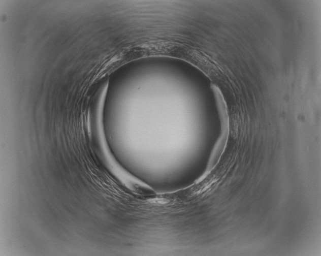 X0000073701010200608031209