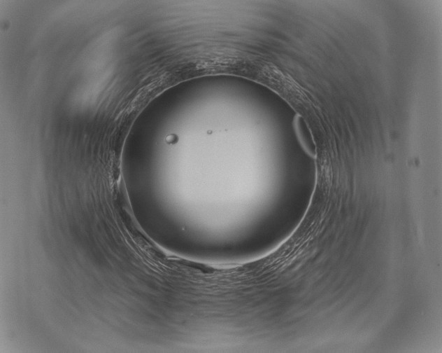 X0000073701012200608031209