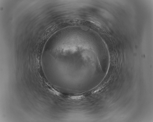 X0000073701013200608031209