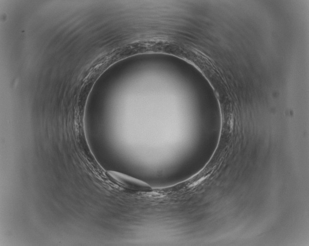 X0000073701014200608031209