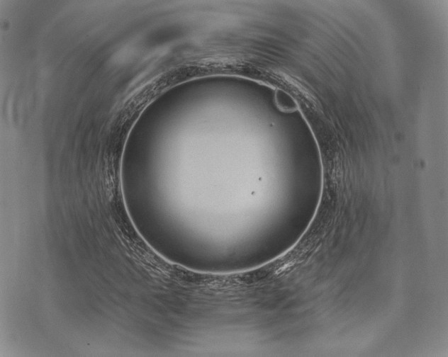 X0000073701015200608031209