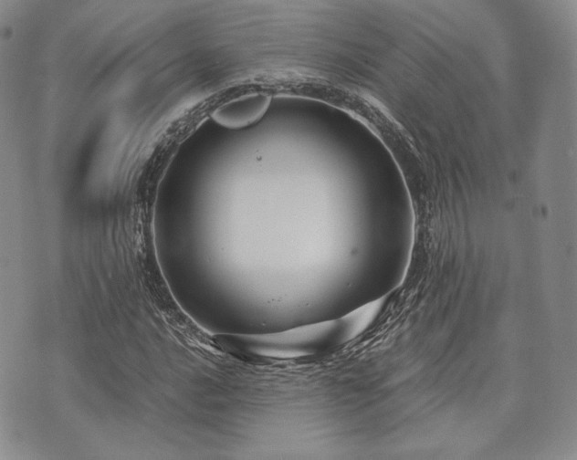 X0000073701016200608031209