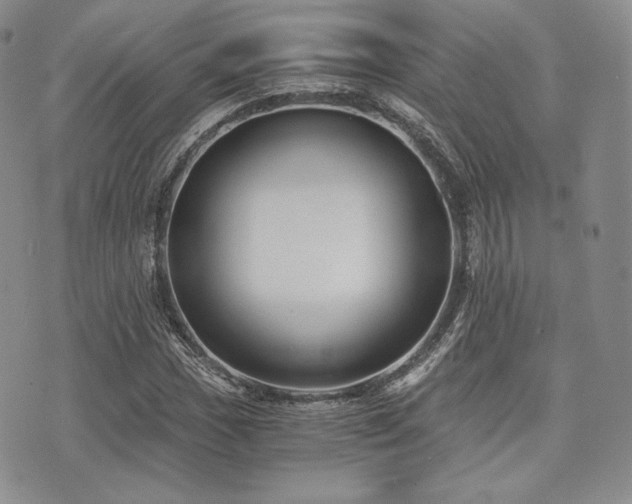 X0000073701017200608031209