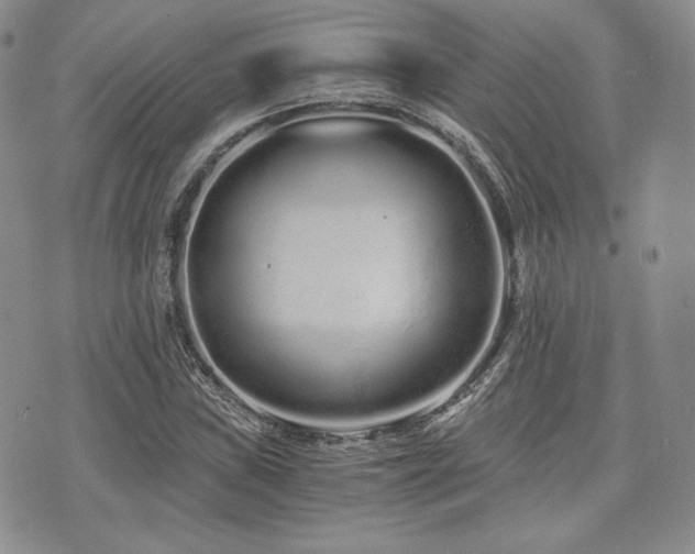 X0000073701019200608031209