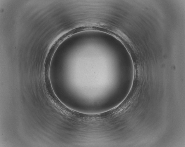 X0000073701020200608031209