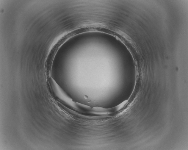 X0000073701022200608031209