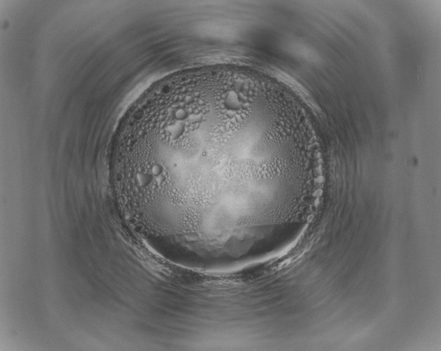 X0000073701023200608031209