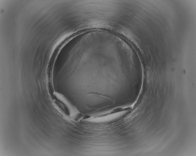 X0000073701024200608031209