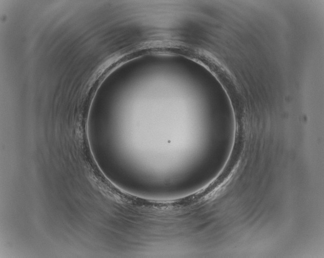 X0000073701025200608031209