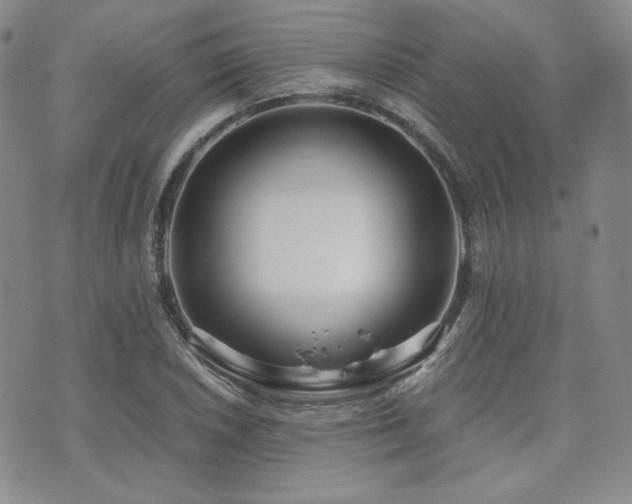 X0000073701026200608031209