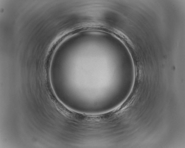 X0000073701027200608031209