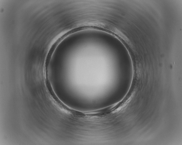 X0000073701028200608031209