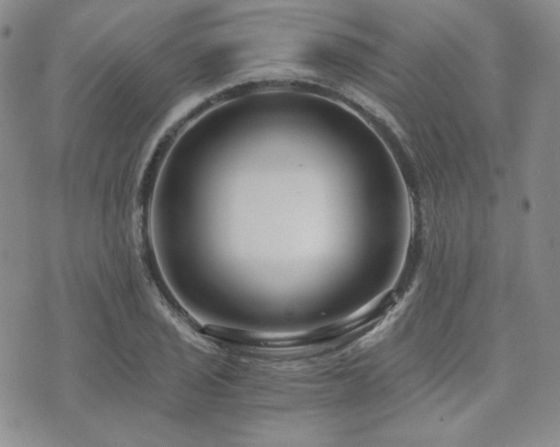 X0000073701029200608031209