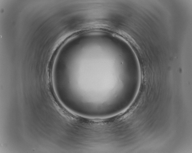 X0000073701031200608031209