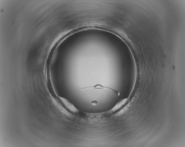 X0000073701032200608031209