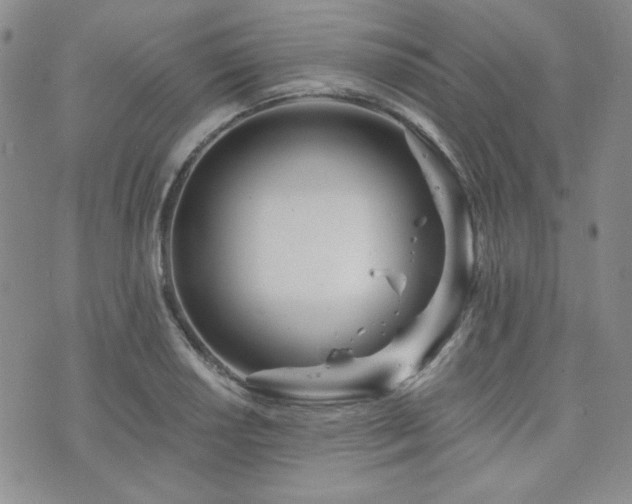 X0000073701034200608031209