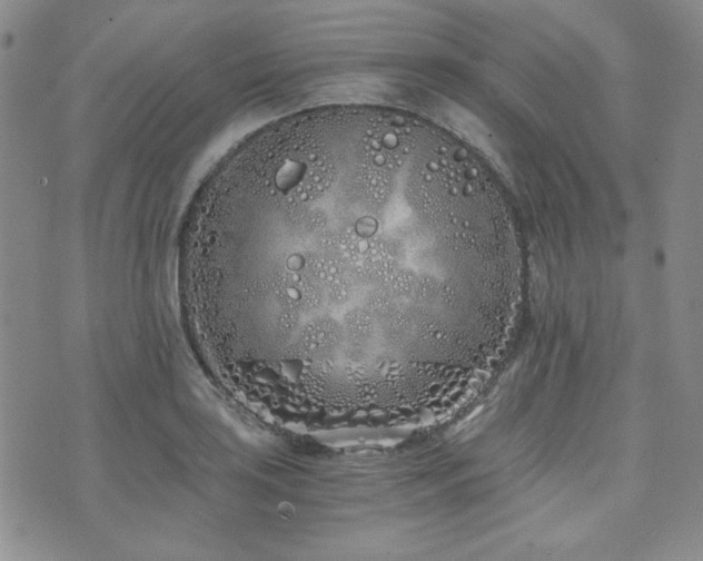 X0000073701035200608031209