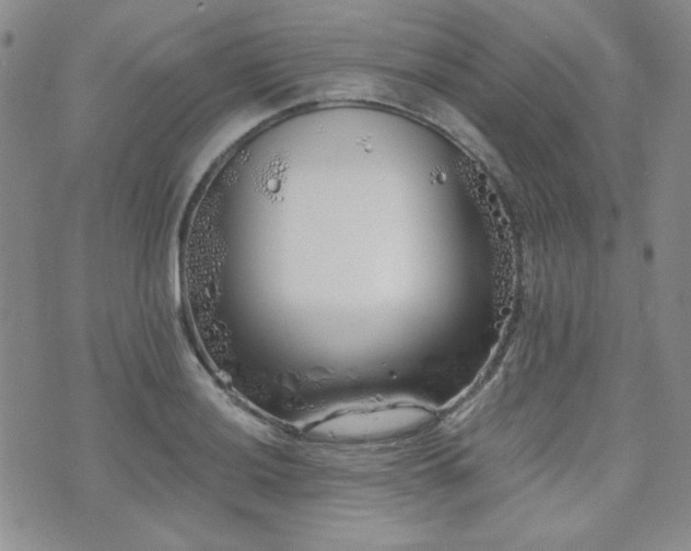 X0000073701036200608031209