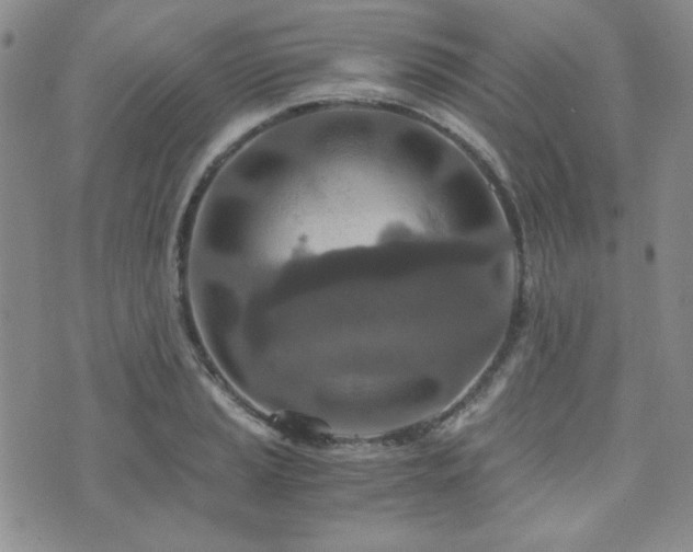 X0000073701037200608031209