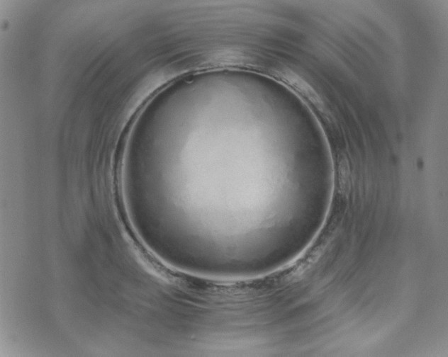 X0000073701039200608031209