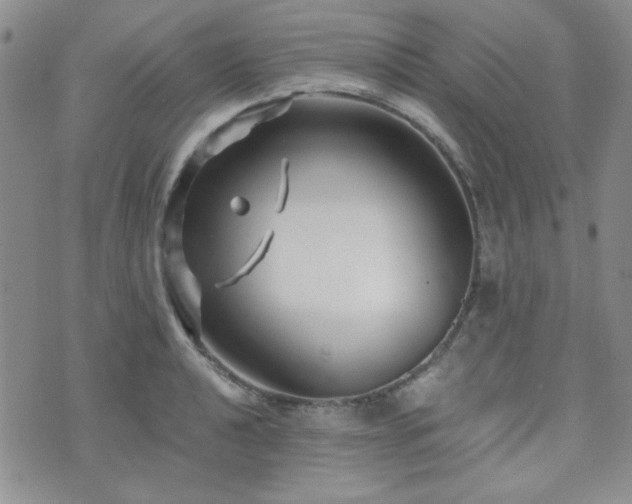 X0000073701040200608031209