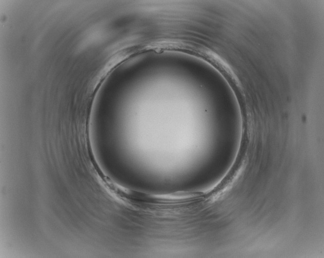 X0000073701041200608031209